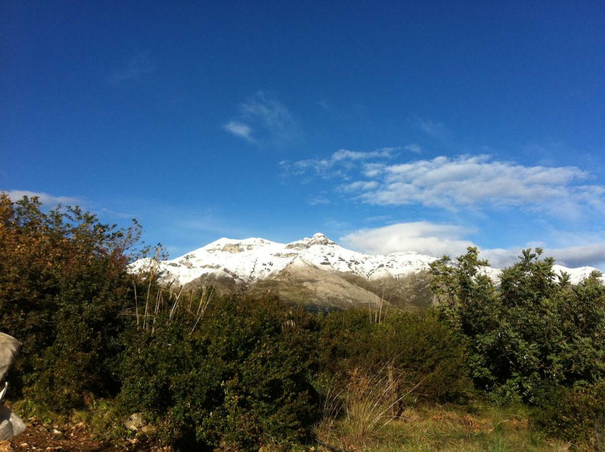 Villa Treglia B&B Formia Bagian luar foto