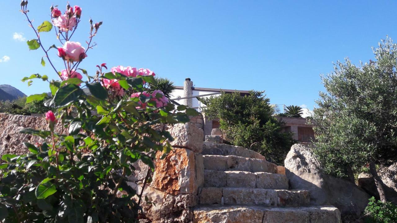 Villa Treglia B&B Formia Bagian luar foto