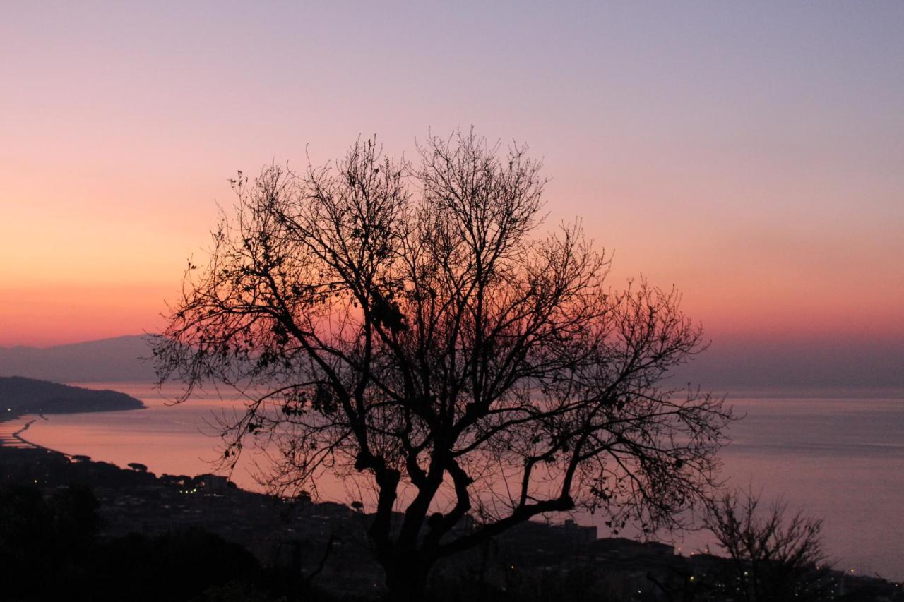 Villa Treglia B&B Formia Bagian luar foto